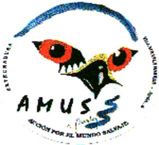 amus